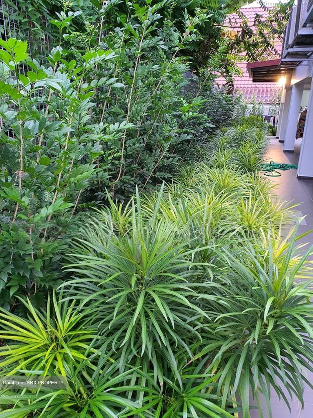 Changi South Lane (D16), Semi-Detached #501741561